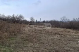 Продается Земля, Сельскохозяйственные, Shalauri