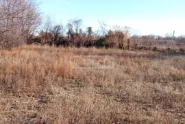 Land For Sale, Agricultural, Kurdghelauri