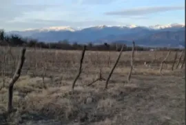 Land For Sale, Agricultural, Shalauri 