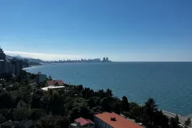 იყიდება ბინა, 1 ოთახიანი, ახალი აშენებული, ბათუმი