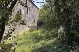 Land For Sale, Agricultural, Telavi