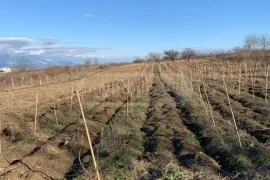 Land For Sale, Agricultural, Ruispiri