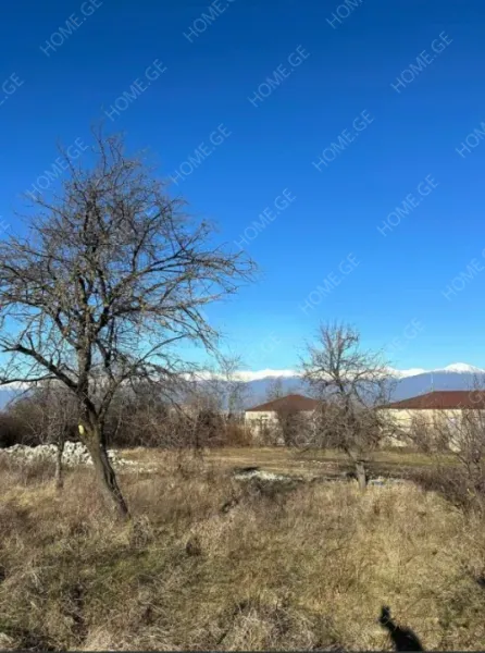 იყიდება მიწის ნაკვეთი, სასოფლო - სამეურნეო, კისისხევი