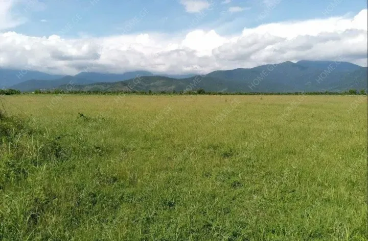 Land For Sale, Agricultural, Shilda