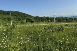 Продается Земля, Orbeti