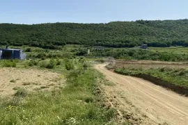 იყიდება მიწის ნაკვეთი, სასოფლო - სამეურნეო, თხინვალი
