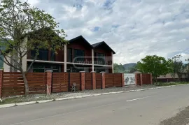 იყიდება სახლი, 4 ოთახიანი, ბორჯომი, ბაკურიანი