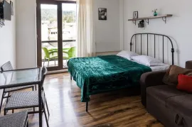 Daily Apartment Rent, 1 Room, New building, Borjomi , Bakuriani