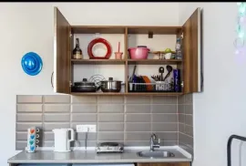 Daily Apartment Rent, 1 Room, New building, Borjomi , Bakuriani