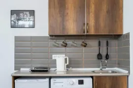 Daily Apartment Rent, 1 Room, New building, Borjomi , Bakuriani