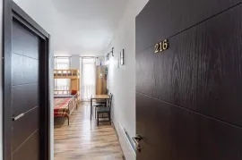 Daily Apartment Rent, 1 Room, New building, Borjomi , Bakuriani