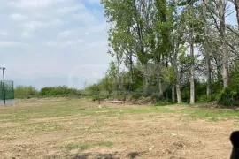 Land For Sale, Agricultural, Busheti