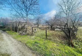 Land For Sale, Agricultural, Tsinandali