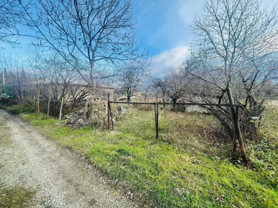 Land For Sale, Agricultural, Tsinandali
