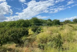 Land For Sale, Agricultural, Tsinandali
