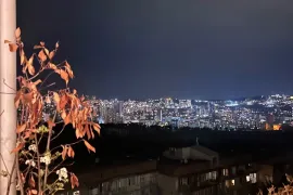 Apartment for sale, 5 Room, New building, Tbilisi, vake