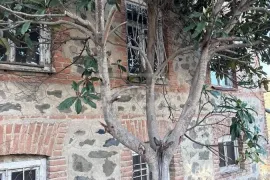 იყიდება სახლი, 5 ოთახიანი, თელავი, თელავი
