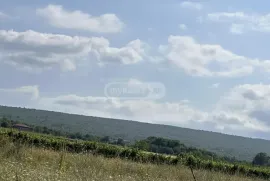 იყიდება მიწის ნაკვეთი, სასოფლო - სამეურნეო, კისისხევი