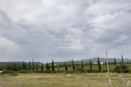 იყიდება მიწის ნაკვეთი, სასოფლო - სამეურნეო, შალაური