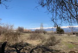 Продается Земля, Не Сельскохозяйственный, Telavi