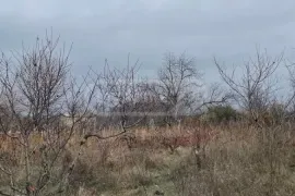 Продается Земля, Сельскохозяйственные, Kisiskhevi