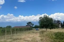 იყიდება მიწის ნაკვეთი, სასოფლო - სამეურნეო, რუისპირი 