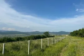 იყიდება მიწის ნაკვეთი, საგურამო