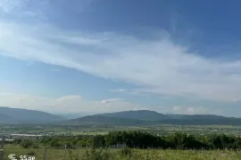 იყიდება მიწის ნაკვეთი, საგურამო