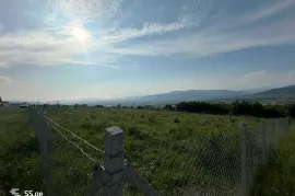 იყიდება მიწის ნაკვეთი, საგურამო