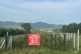 იყიდება მიწის ნაკვეთი, საგურამო