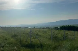 იყიდება მიწის ნაკვეთი, საგურამო