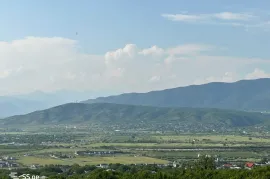 იყიდება მიწის ნაკვეთი, საგურამო