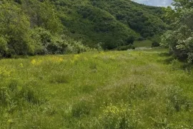 Land For Sale, Agricultural