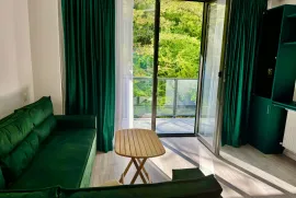 Apartment for sale, 2 Room, New building, Borjomi , Likani