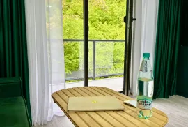 Apartment for sale, 2 Room, New building, Borjomi , Likani
