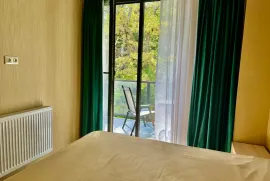 Apartment for sale, 2 Room, New building, Borjomi , Likani