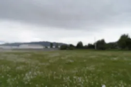 იყიდება მიწის ნაკვეთი, სასოფლო - სამეურნეო, წილკანი