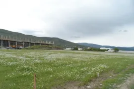 იყიდება მიწის ნაკვეთი, სასოფლო - სამეურნეო, წილკანი