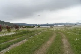 იყიდება მიწის ნაკვეთი, სასოფლო - სამეურნეო, წილკანი