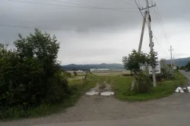 იყიდება მიწის ნაკვეთი, სასოფლო - სამეურნეო, წილკანი