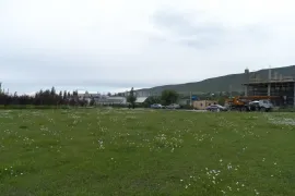 იყიდება მიწის ნაკვეთი, სასოფლო - სამეურნეო, წილკანი