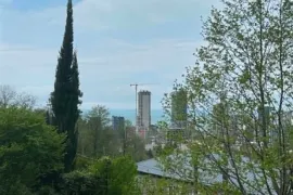 House For Sale, 10 Room, Batumi, Gonio