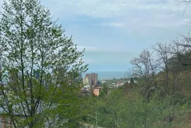 House For Sale, 10 Room, Batumi, Gonio