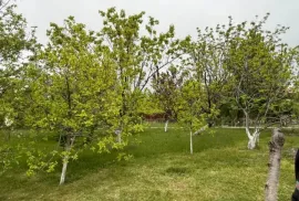 Land For Sale, For Investment, Gamarjveba 