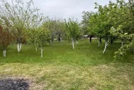 Land For Sale, For Investment, Gamarjveba 