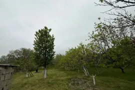 Land For Sale, For Investment, Gamarjveba 