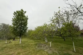 Land For Sale, For Investment, Gamarjveba 