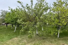 Land For Sale, For Investment, Gamarjveba 