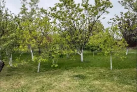 Land For Sale, For Investment, Gamarjveba 