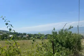 Продается Земля, Шанкевани